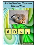 Autism: Spelling Blends and Consonant Digraphs