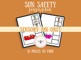 Autism Sun Safety Sensory Bin Summer ABA Social Skills ESL