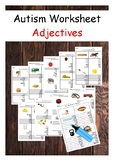 Autism Worksheets - What adjectives describe this subject?