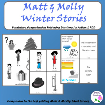 Preview of Autism and PDD Matt and Molly Winter Short Stories Companion