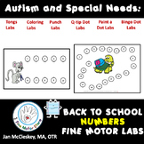 Autism and Special Needs:  Number Sequencing PUNCH DOTS - 