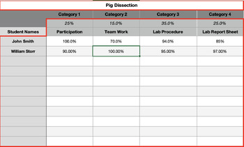 Preview of Auto-Filling Rubric - 4 Categories - Excel