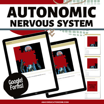 Autonomic Nervous System Teaching Resources | TPT