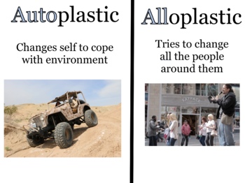 Preview of Autoplastic and Alloplastic