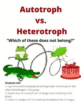 Preview of Autotroph vs. Heterotroph: Which one doesn't belong?