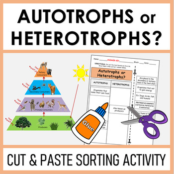 Preview of Autotrophs or Heterotrophs | Cut and Paste Sorting Activity