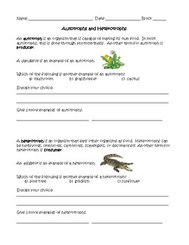 Preview of Autotrophs vs. Heterotrophs worksheet