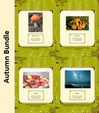 Autumn Bundle-Nature Education Unit-Stage 2 (Magic Forest 