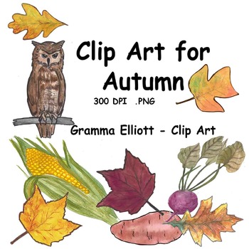 Preview of Autumn Clip Art in Realistic Color and BW