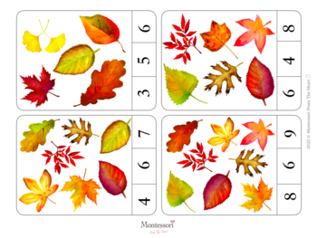 Autumn Fall Leaves Count and Clip Cards Montessori Math | TpT