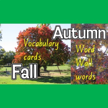 Preview of Autumn/Fall Word Wall Words or Vocabulary Cards.