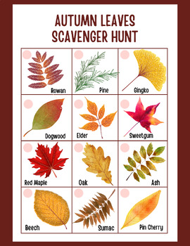 Preview of Autumn Leaf Hunt | Scavenger Hunt for Kids | Autumn I-Spy Nature Game | Download