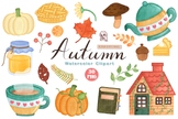 Autumn, Leaf, Nature, Fall, Orange, Foliage, Abstract, Season