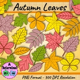 Autumn Leaves Clip Art