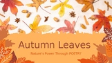 Autumn Leaves Poetry Slides