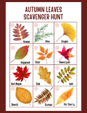 Autumn Leaves Scavenger Hunt for Kids Digital Download Fal