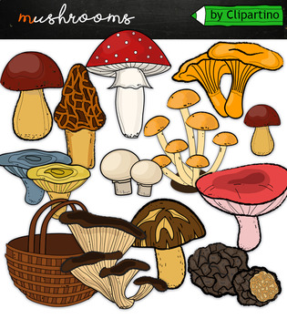 Preview of Autumn Mushrooms Clip Art commercial use