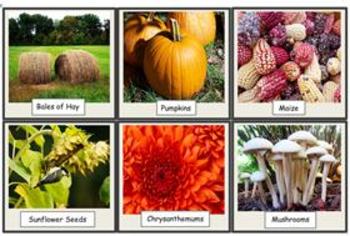 Preview of Autumn Photo Flashcard Set
