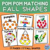 Autumn Pom-Pom Color Matching Shapes