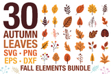 Autumn SVG Bundle | Boho Fall Leaves