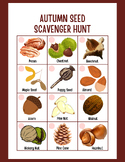 Autumn Seed Scavenger Hunt Printable for Kids | Autumn Pri