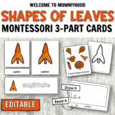Autumn Theme Shapes of Leaves Editable 3-Part Cards
