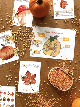 Preview of Autumn Themed Flashcards with Poems
