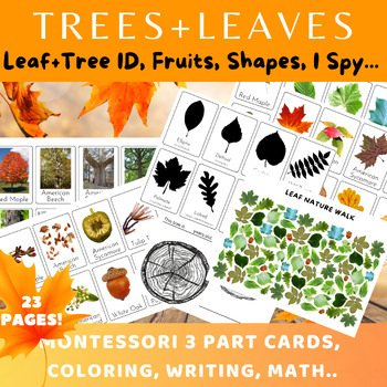 Preview of Autumn Trees+Leaves/Montessori 3 Part+Info Cards/Leaf Shapes/Math/Writing
