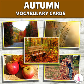 Preview of Fall Language Picture Cards | Autumn Story | Montessori Vocabulary