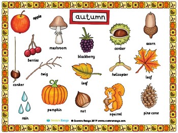Preview of Autumn Vocabulary Image Mat