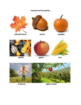 Preview of Autumn Worksheets 