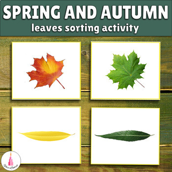 Preview of Leaves Matching Activity | Fall and Spring Montessori Cards | Autumn