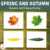 Leaves Matching Activity | Fall and Spring Montessori Card