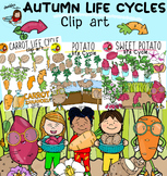 Autumn life cycles bundle