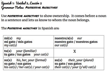 Avancemos 1: Unidad 3, Lección 2 - Possessive Adjectives Notes & Worksheet