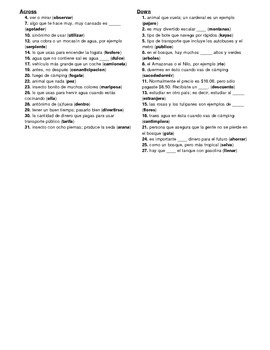 Avancemos Level 3 Unit 1 1 Crossword Puzzle By Senora Payne Tpt