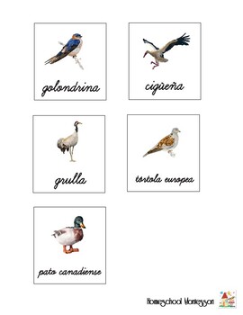 Aves migratorias by Homeschool Montessori KT | TPT
