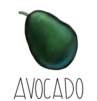 Avocado whole - labeled by Emily Corley | TPT