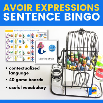 Preview of Avoir expressions BINGO in French with sentences