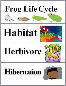 Preview of Animals Illustrated Science Word Wall