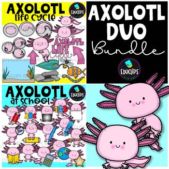 Axolotl Sketch Book: Captivating Creatures on Every Page by Immersing  Yourself in the Enchanting World of Axolotls with the Class Sketch Book for  Kids