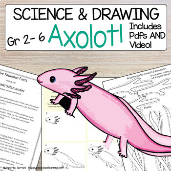 Preview of How to Draw an Axolotl Directed Drawing Lesson | Step by Step PLUS Video
