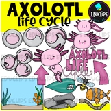 Axolotl Life Cycle Clip Art Set {Educlips Clipart}