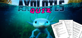 Axolotl Quiz and Coloring Page!