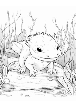 Preview of Axolotl, coloring pages for child