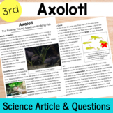 Axolotls Reading Passage and Questions | 3rd Grade Axolotl