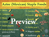 Aztec Food Lecture - Ancient Mexican Food – 51 pages in PD