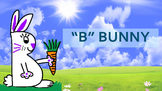B Bunny Art Unit