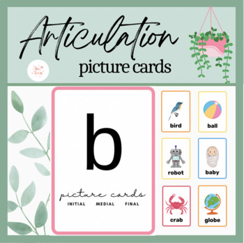 b at the beginning of words picture cards