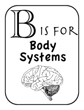 Preview of B is for Body Systems- Alphabet and Vocabulary Coloring Pages